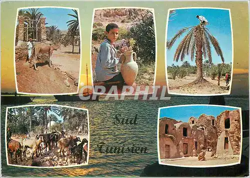 Cartes postales moderne Sud Tunisien