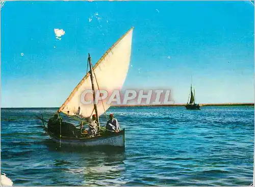 Cartes postales moderne Tunisie Djerba Voile Caracteristique