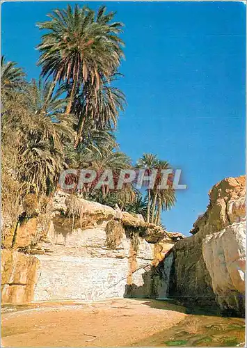 Cartes postales Tunisie Tamerza La Cascade