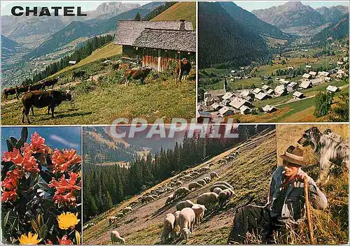 Cartes postales moderne Chatel Haute Savoie