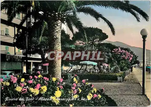 Cartes postales moderne Riviera dei Fiori Alassio