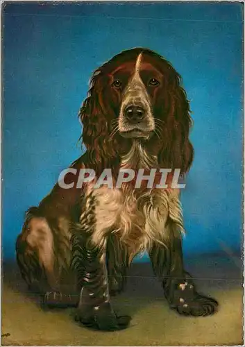 Cartes postales moderne Chien