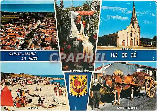 Cartes postales moderne Sainte Marie La Noue Ile De Re
