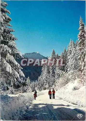 Cartes postales moderne En promenade au milieu des sapins charges de neige