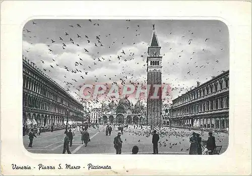 Cartes postales moderne Venezia Piazza S Marco Piccionata