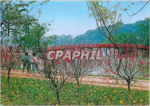 Cartes postales moderne Ha Noi Phong canh dep