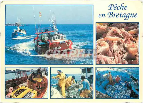 Cartes postales moderne Peche en Bretagne Bateau