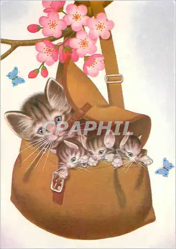 Cartes postales moderne Chats