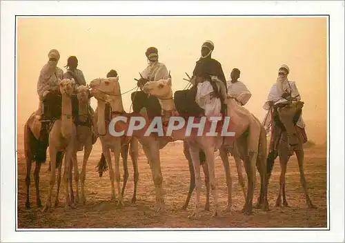 Cartes postales moderne Niger Teguidda N'Tessount La cure salee Chameaux