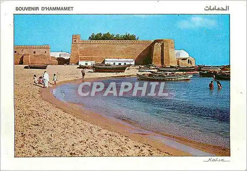 Cartes postales moderne Souvenir d'Hammamet