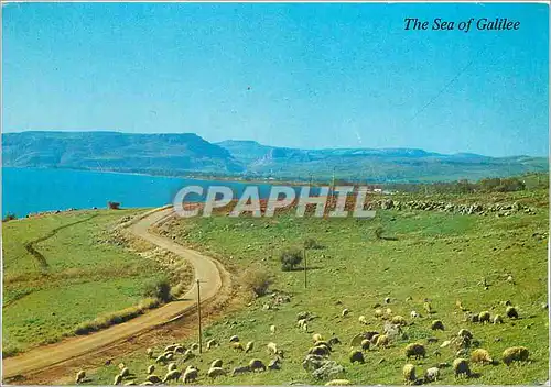 Cartes postales moderne The peaceful Sea of Galilee