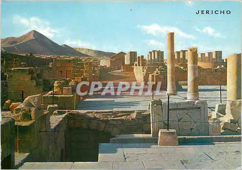 Cartes postales moderne Jericho Le Palais de Hisham pres de Jericho