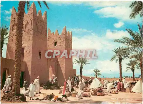 Cartes postales moderne Sud Marocain