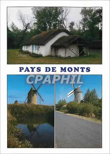 Cartes postales moderne Saint Jean de Monts