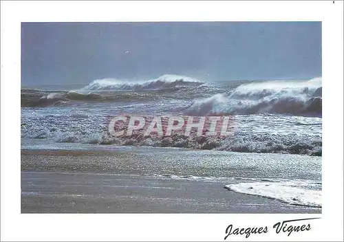 Cartes postales moderne Cote Aquitaine La splendeur de l'ete