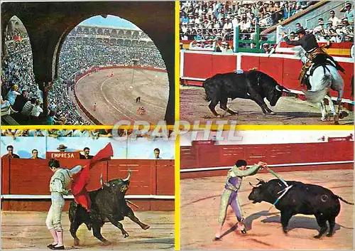 Cartes postales moderne Typique course de taureaux Corrida