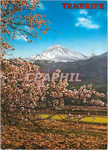 Cartes postales moderne Tenerife Canarias