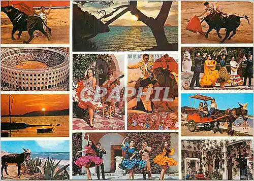 Cartes postales moderne Espana Tipica