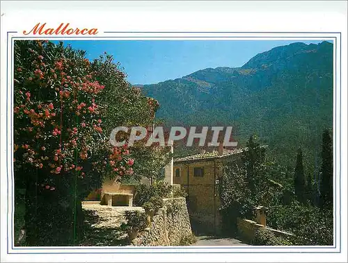 Cartes postales moderne Mallorca Baleares Espana