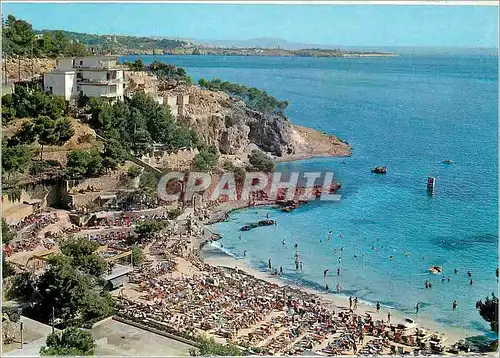 Cartes postales moderne Mallorca Baleares Espana Palma Playa de Illetas