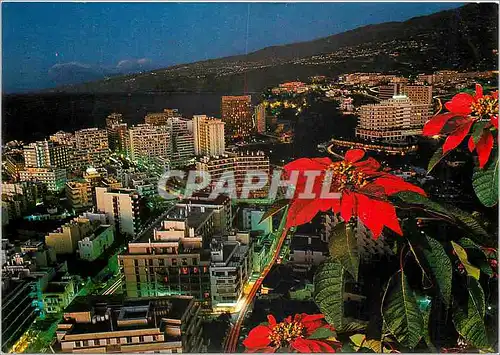 Cartes postales moderne Puerto de la Crux Citta de notte