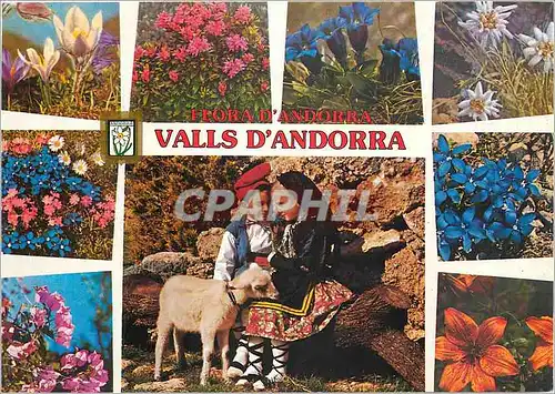 Cartes postales moderne Valls d'Andorra