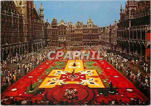 Moderne Karte Bruxelles Brussel Grand Place Tapis de fleurs