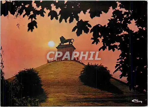 Cartes postales moderne Waterloo Le Lion