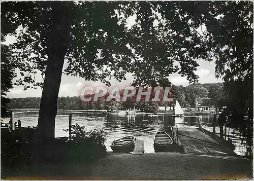 Cartes postales moderne Berlin Grunewald Pfaueninsel