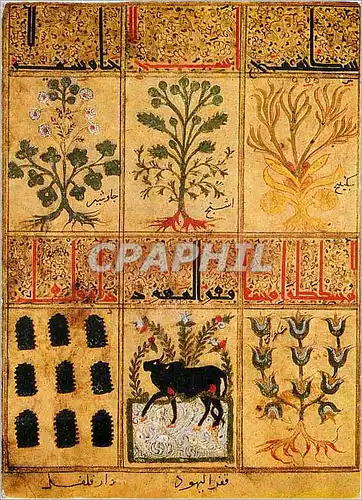 Cartes postales moderne Aus dem Lehrbuch des Theriak Bibliotheque Nationale Paris