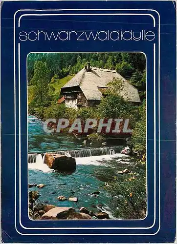 Cartes postales moderne Schwarzwaldidylle