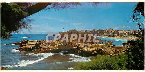 Cartes postales moderne Biarritz Basses Pyrenees