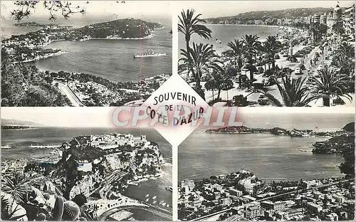 Cartes postales moderne Souvenir de la Cote d'Azur