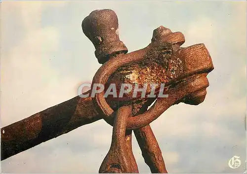 Cartes postales moderne En se promenant sur le Port