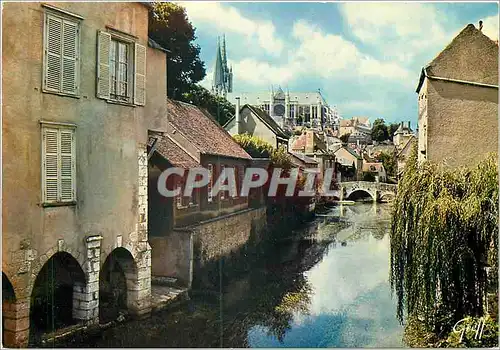 Cartes postales moderne Chartres Eure Loir Les Bords de l'Eure et la Cathedrale