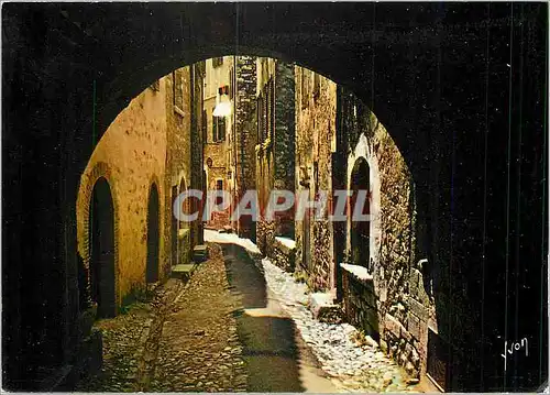 Cartes postales moderne La Cote d'Azur miracle de la nature Saint Paul Alpes Maritimes Rue Grande