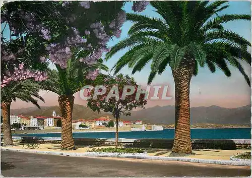 Cartes postales moderne La Corse Ile de Beaute Ajaccio Boulevard Lantivy Vue sur le Golfe
