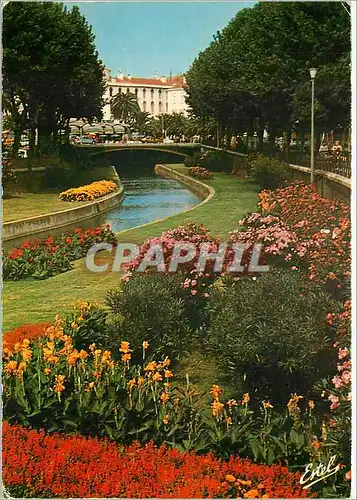 Moderne Karte Perpignan Pyrenees Orientales Les rives fleuries de la Basse et a l'arriere plan la place Arago