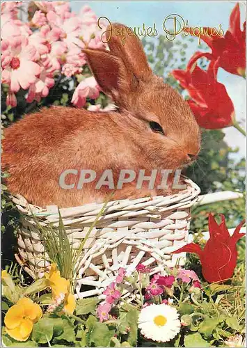 Moderne Karte Joyeuses Paques Lapin