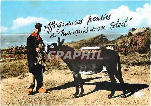 Cartes postales moderne Affectueses pensees du Marquis de ton Bled Ane Mule