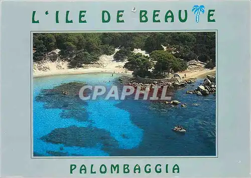 Cartes postales moderne L'Ile de Beaute Palombaggia