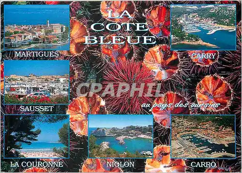 Cartes postales moderne La Cote Bleau Bouches du Rhone Martigues Sausset La Couronne Carry Carro Niolon