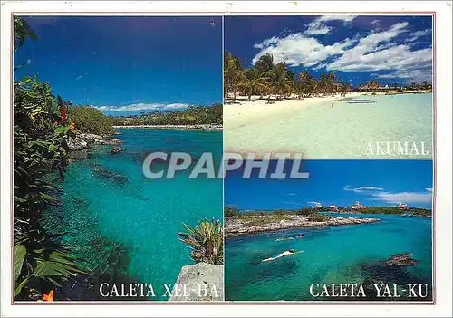 Cartes postales moderne Caleta Xel Ha