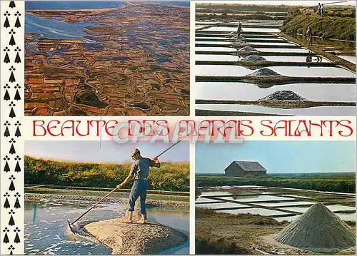 Cartes postales moderne Les Marais Salants Richesse di Pays Guerandais