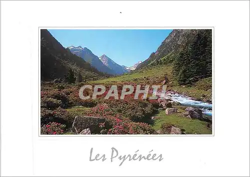 Cartes postales moderne Pyrenees regard sur la Nature Vallee de Lutour