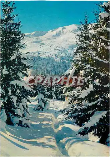Cartes postales moderne Majestueux hiver