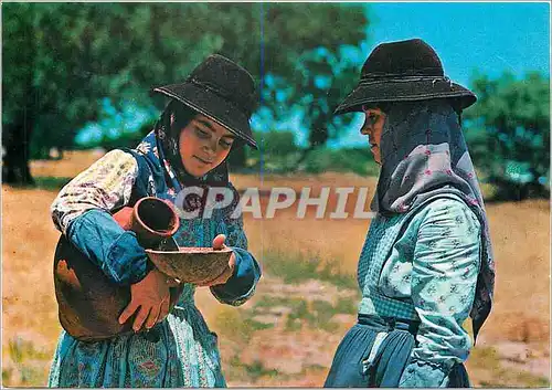 Cartes postales moderne Alentejo Portugal Killing the thirst