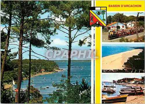 Moderne Karte Bassin d'Arcachon Gironde Le Petit train du Cap Ferret