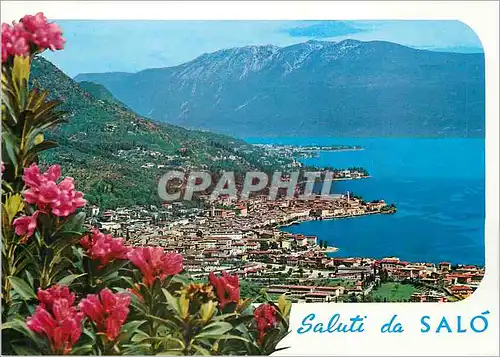 Cartes postales moderne Lac de Garda Salo