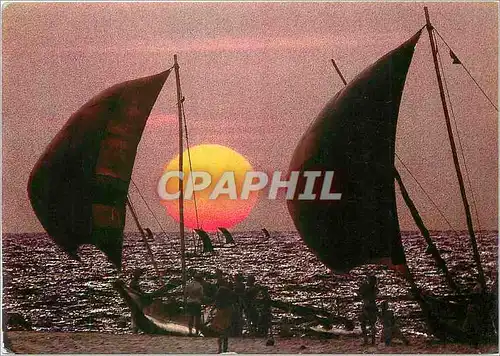 Cartes postales moderne Sri Lanka Ceylon Sun Down West Coast